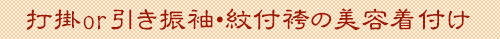 神前結婚式「打掛・引き振袖 美容着付けプラン」